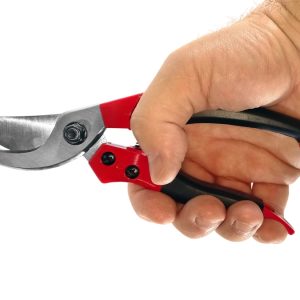 Hand,Holding,A,Pruning,Shears,,Also,Called,Hand,Pruners,Or