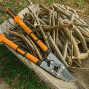 Loppers,And,Branches,,Scissors,For,Springtime,Garden,Work